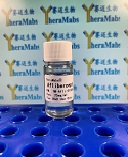 Aflibercept biosimilar