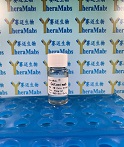 Cetuximab biosimilar