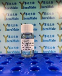 Dulaglutide biosimilar