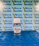 Matuzumab biosimilar