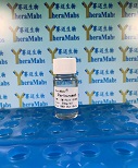 Pertuzumab