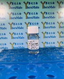 Rituximab