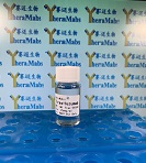 trastuzumab